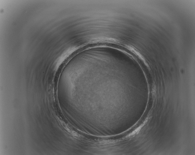 X0000068820877200605121313