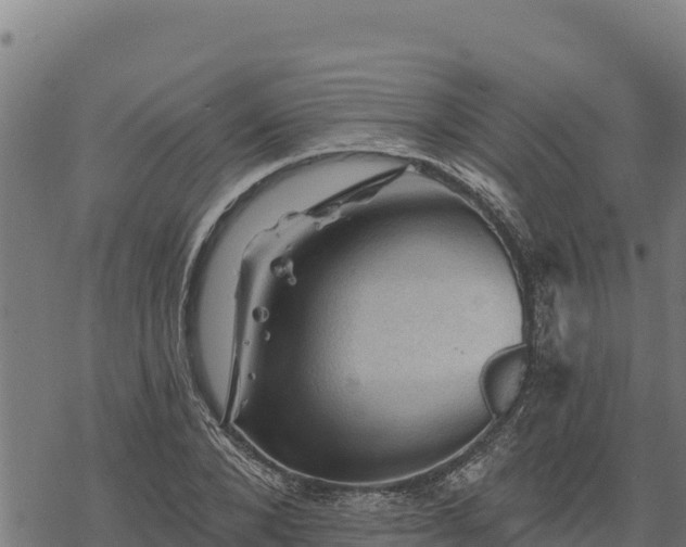 X0000068820880200605121313