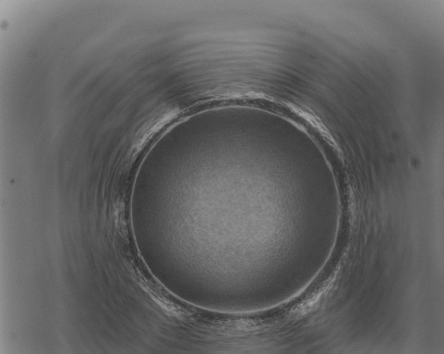 X0000068820881200605121313