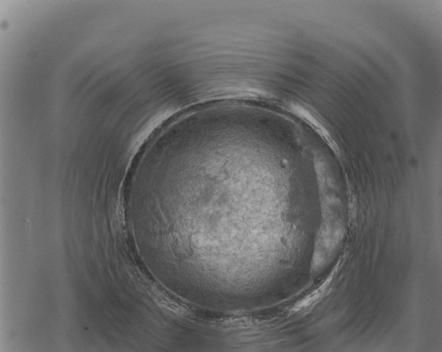 X0000068820883200605121313