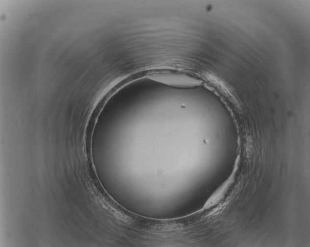 X0000068820884200605121313