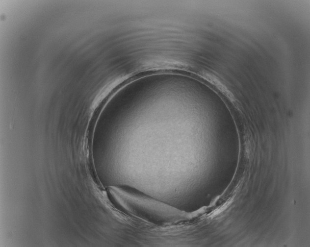 X0000068820885200605121313