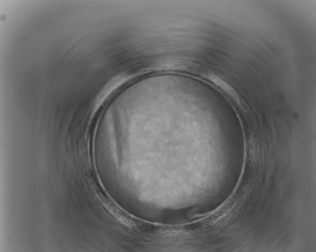 X0000068820886200605121313