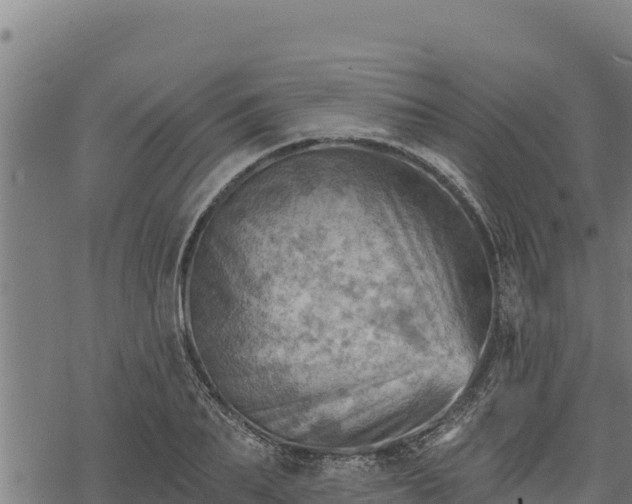 X0000068820887200605121313