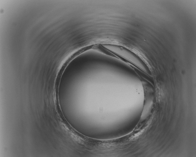 X0000068820888200605121313