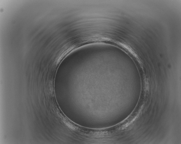 X0000068820889200605121313