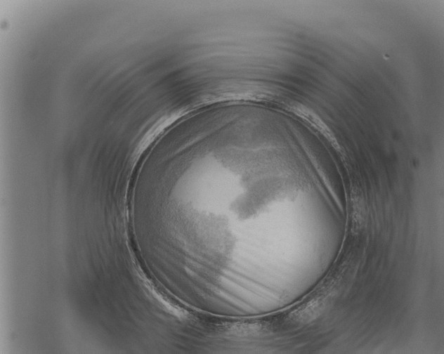 X0000068820890200605121313