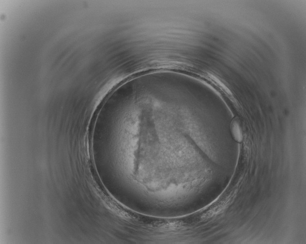 X0000068820891200605121313