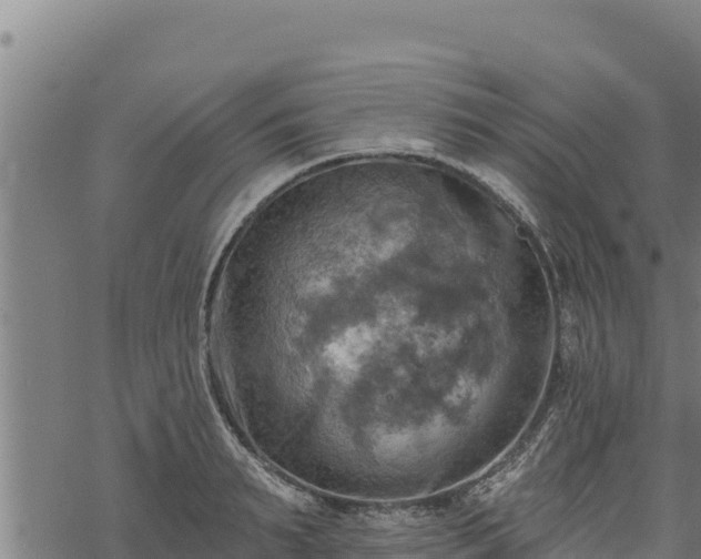 X0000068820895200605121313