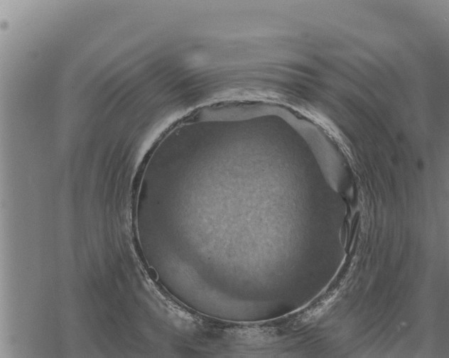 X0000068820896200605121313