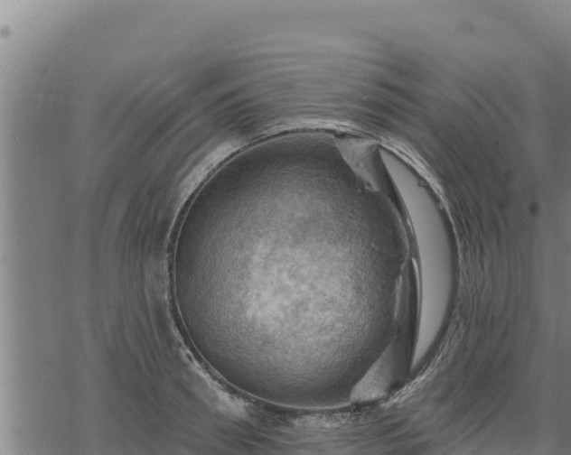 X0000068820898200605121313