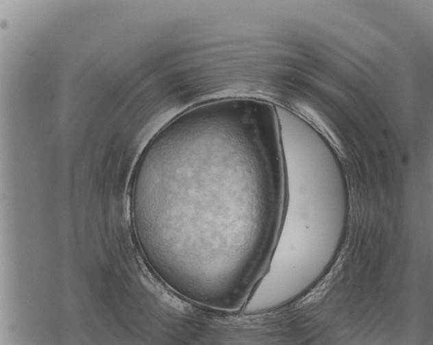 X0000068820900200605121313