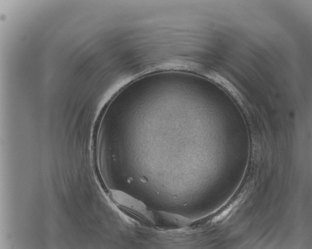 X0000068820902200605121313