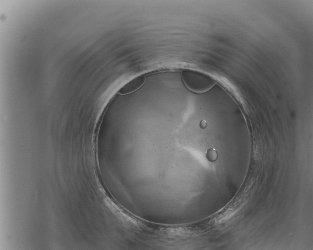 X0000068820903200605121313