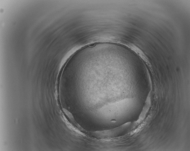 X0000068820904200605121313