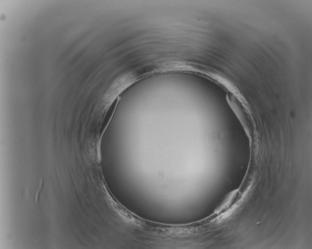 X0000068820905200605121313