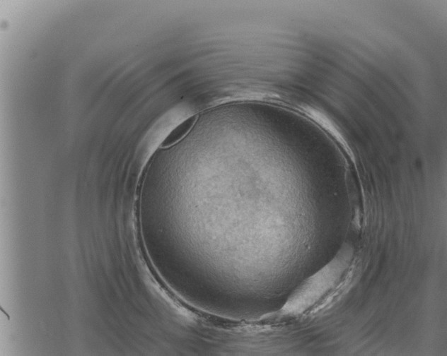 X0000068820906200605121313