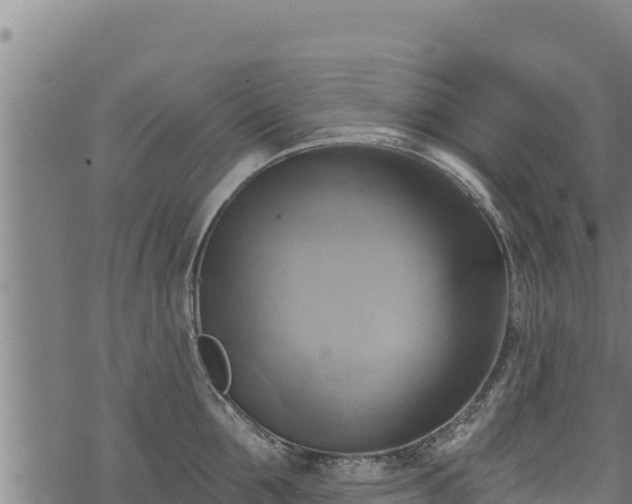 X0000068820907200605121313