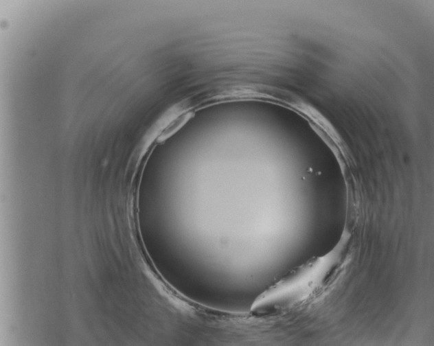 X0000068820909200605121313