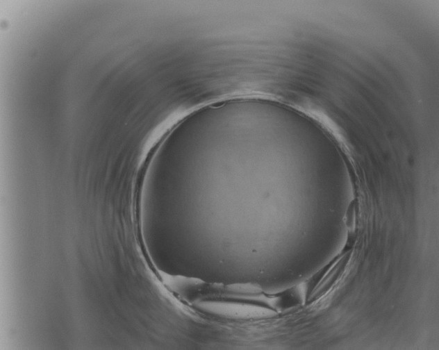 X0000068820910200605121313