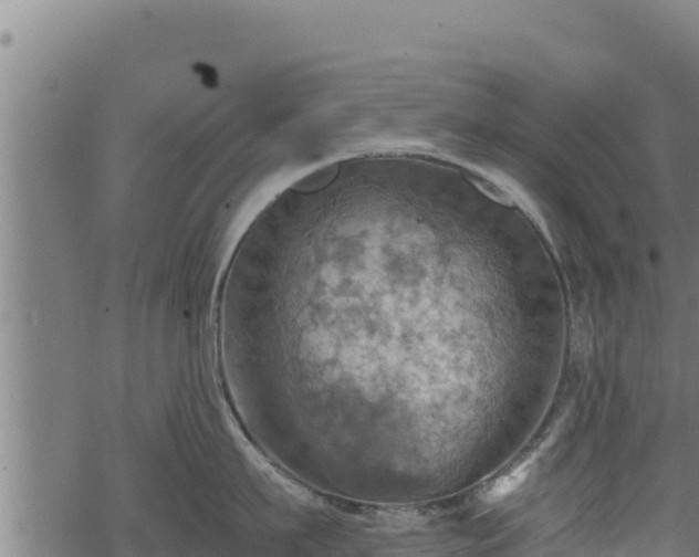 X0000068820911200605121312