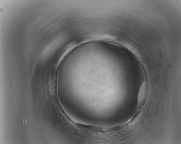 X0000068820912200605121312