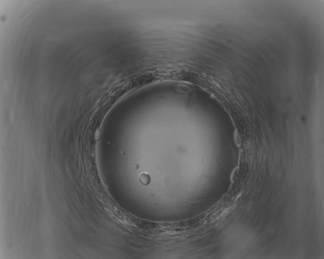 X0000068820913200605121312