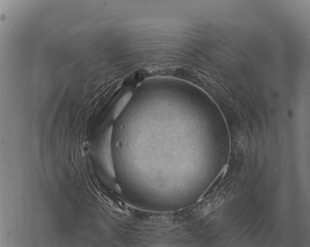 X0000068820914200605121312