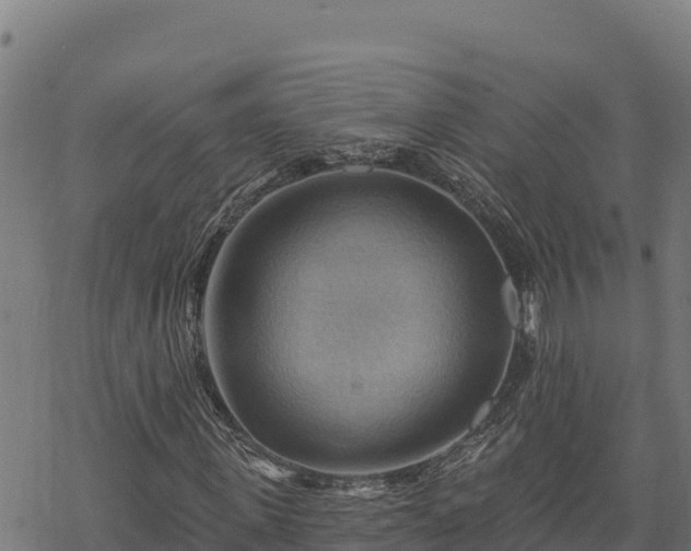 X0000068820915200605121312