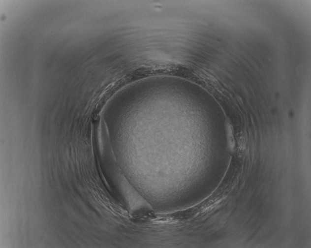 X0000068820916200605121312