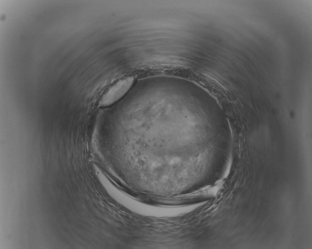 X0000068820917200605121312