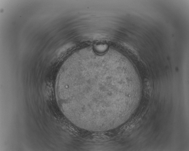 X0000068820918200605121312