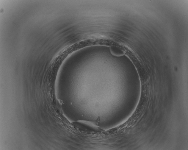 X0000068820919200605121312