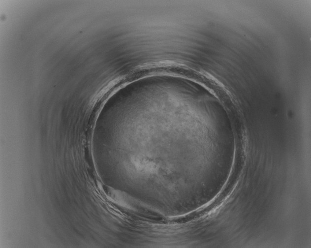 X0000068820921200605121312