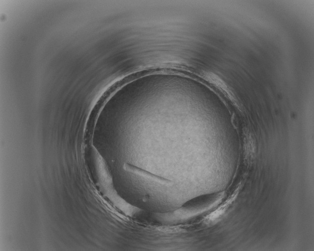 X0000068820924200605121312