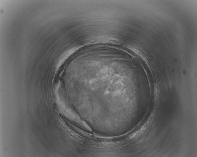 X0000068820925200605121312