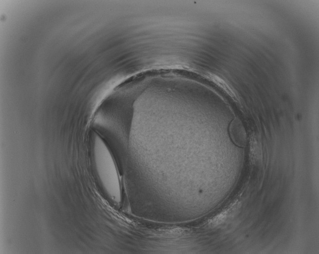 X0000068820926200605121312