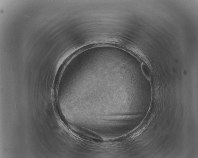 X0000068820928200605121312