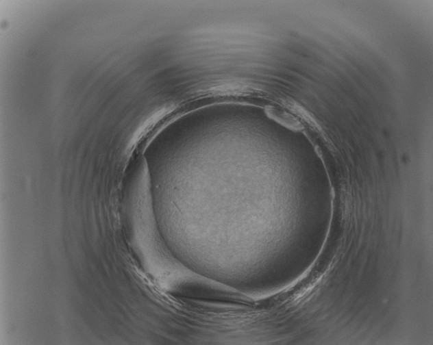 X0000068820930200605121312