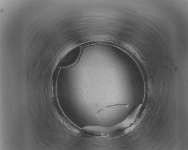 X0000068820931200605121312