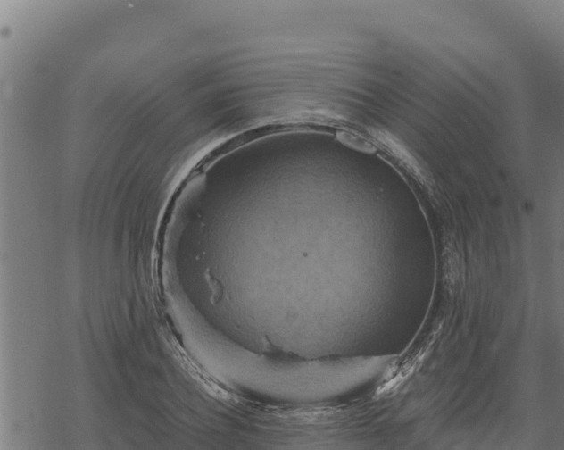 X0000068820932200605121312