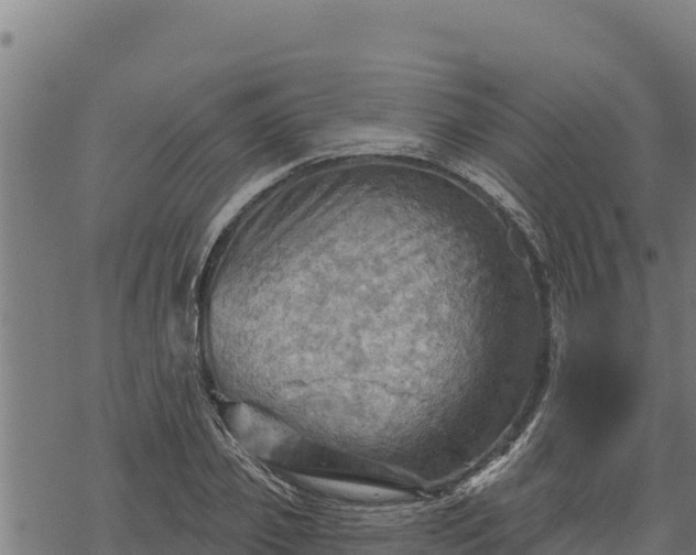 X0000068820933200605121312