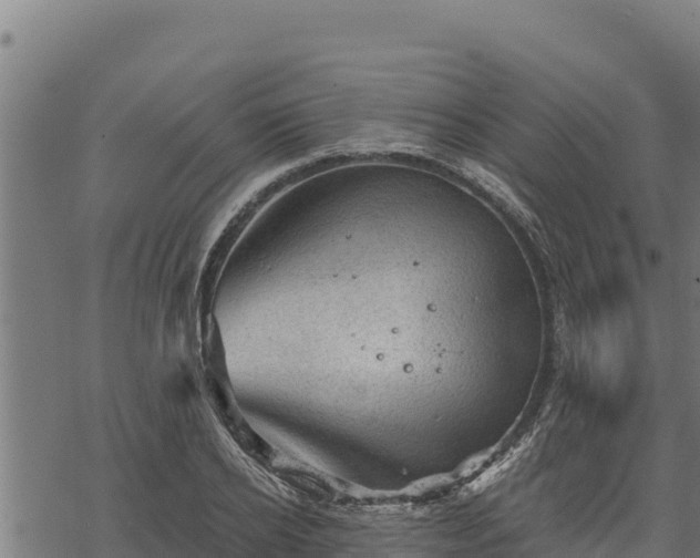 X0000068820934200605121312