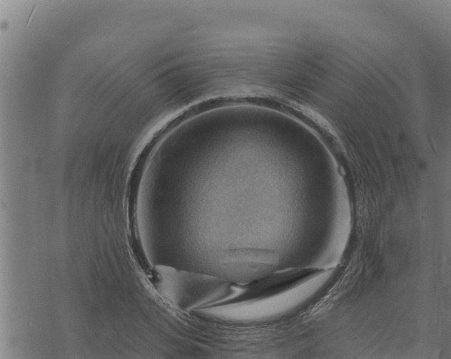 X0000068820935200605121312