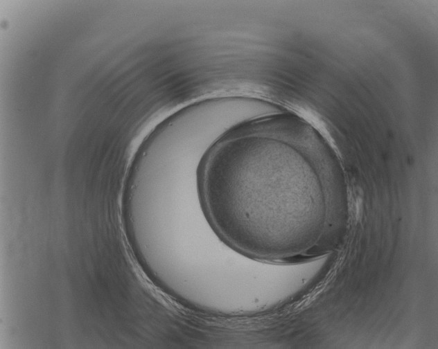 X0000068820936200605121312