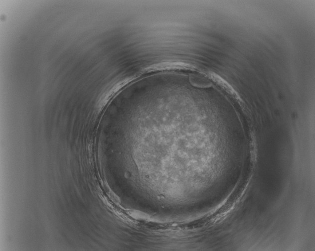 X0000068820937200605121312