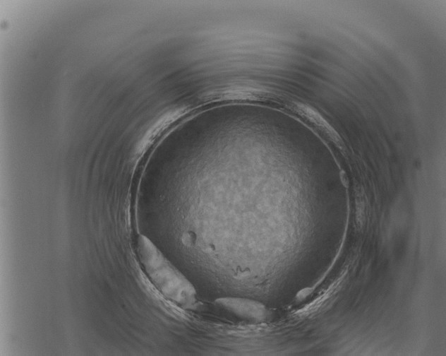 X0000068820938200605121312