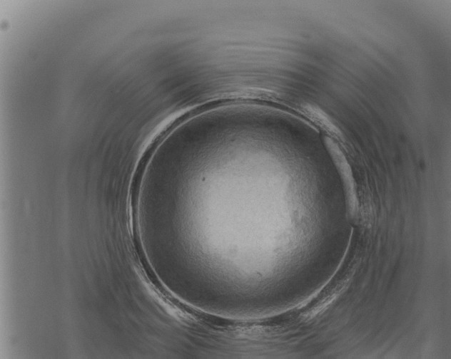 X0000068820940200605121312