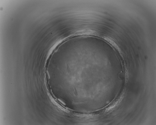 X0000068820941200605121312