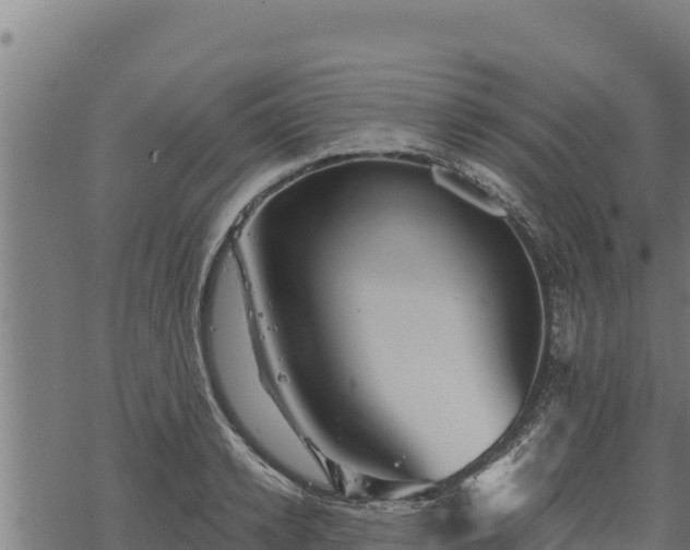 X0000068820942200605121312